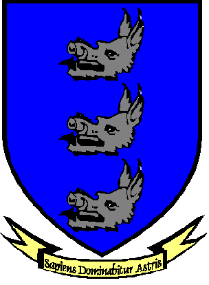 Healy Coat of Arms