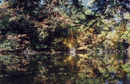 Celtic Color Reflection Photo by EEHealy